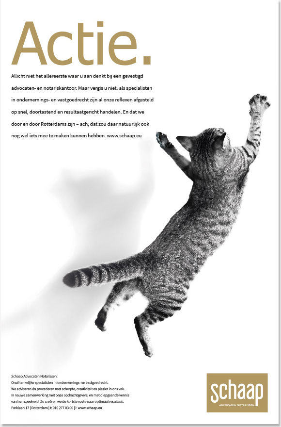 Advertentie ontwerp - Schaap Rotterdam