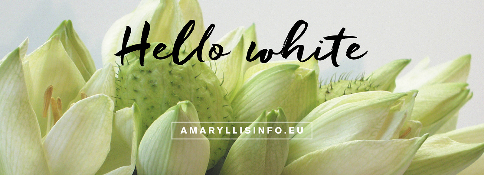 Webdesign - Retailcommunicatie