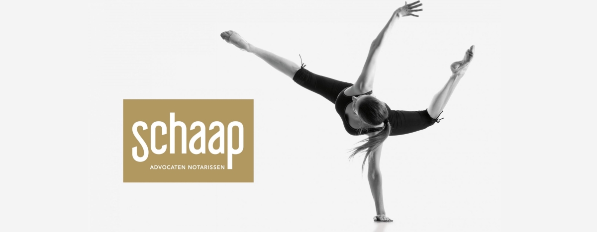 Huisstijl Ontwerpen Rotterdam - Schaap