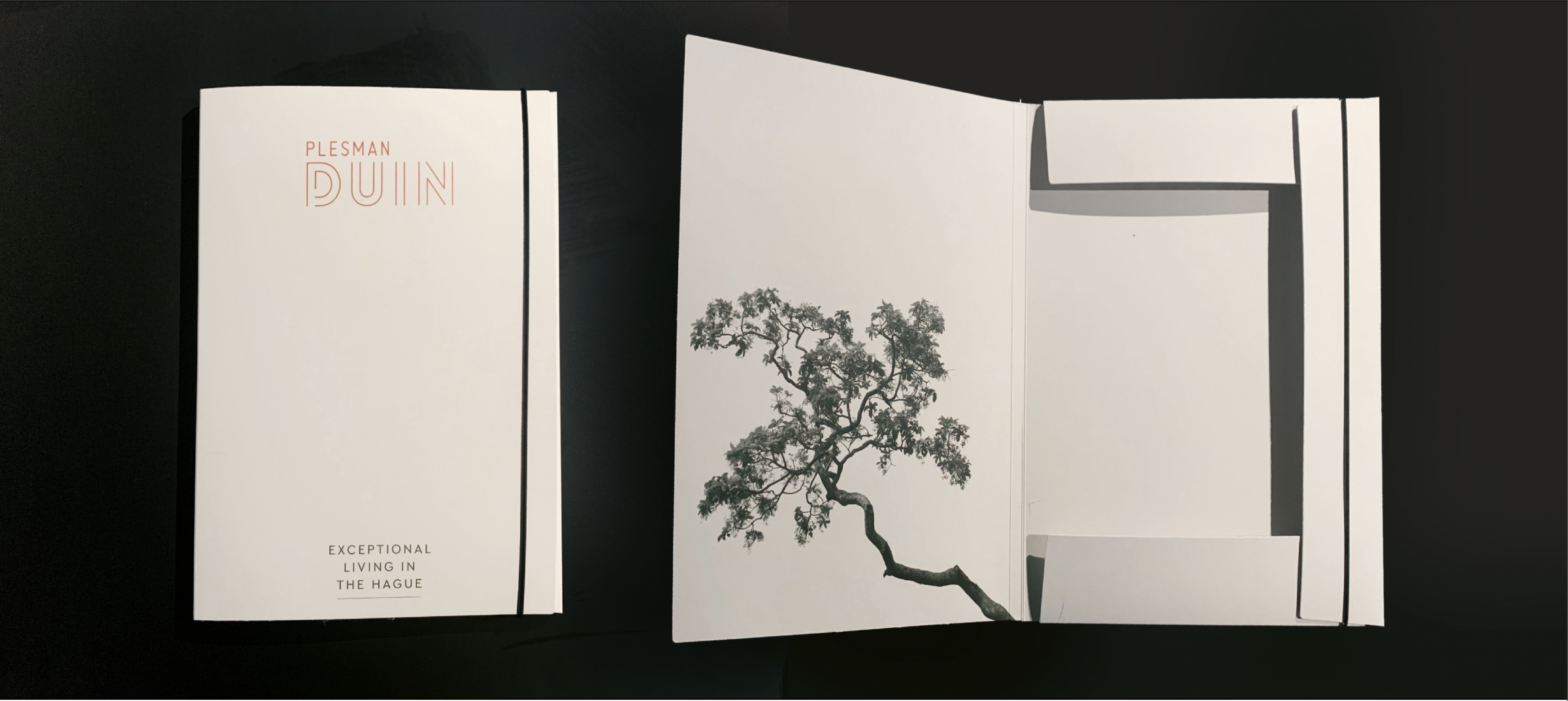 Huisstijl ontwerp - Plesmanduin Den Haag